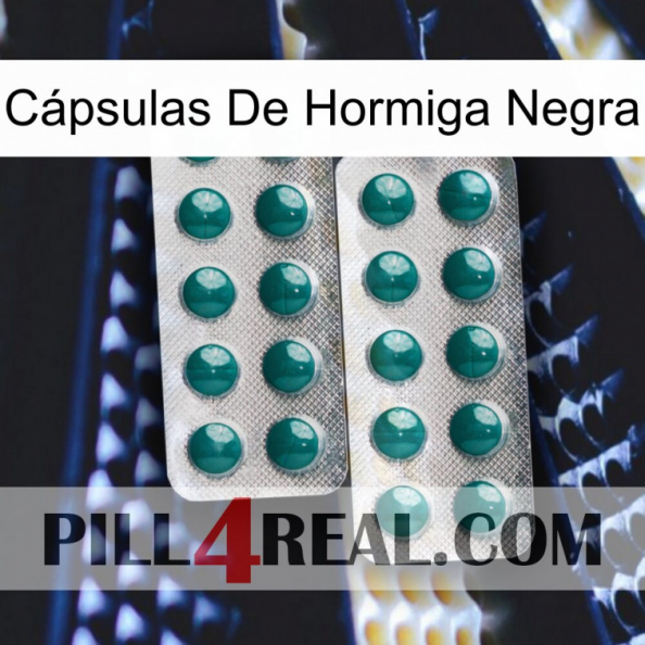 Cápsulas De Hormiga Negra dapoxetine2.jpg